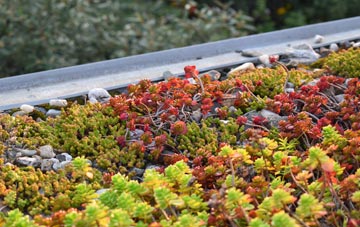 the cost of Landford green roof installation