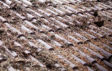 Landford roof cleaning companies