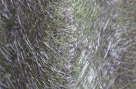 Landford fibreglass roof work